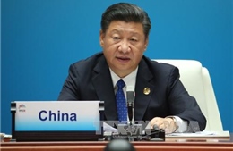  Chủ tịch Trung Quốc nhấn mạnh thúc đẩy quan hệ Trung - Ấn &#39;lành mạnh, ổn định&#39;